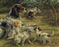 The Curious Pups