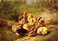 Chicks "Rather Hard Fare"