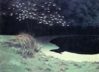 The Pond
