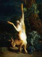 A Dead Hare