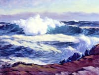 Wild Water