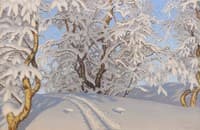 Mountain birches in winter