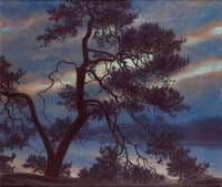 Twilight Landscape