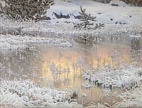 Frosty Morning
