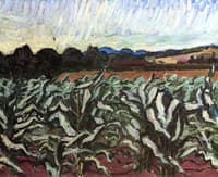 Landscape - Tioga, Pennsylvania