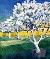 Apple Trees in Bloom