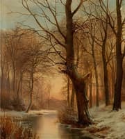 Late Afternoon in a Forest with a Frozen Brook