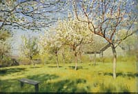 Apple Trees in Bloom
