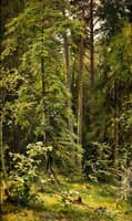 A Forest