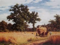 Cornfield with Oaks