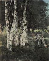 Birches with Horse