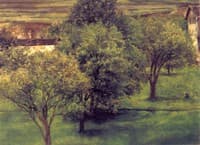 Orchard