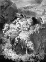 Return of a Large Flock of Sheep from Alpine Summer Pastures