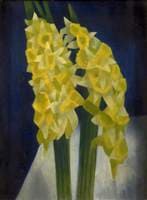 Daffodils