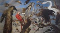 Concert of Birds
