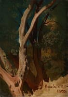 Tree Study