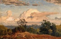 Woodland Scenery in Autumn