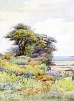 By the Bay, Duxbury, Massachusetts