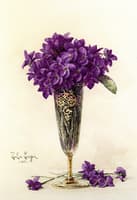 Violets