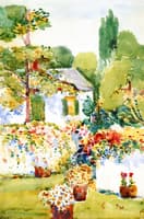 Flowering Wall