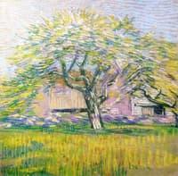 Tree in Bloom