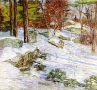 Snowy Landscape