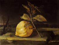 Still life with a cedar
