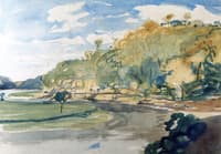 Wooded River Bank, Calstock