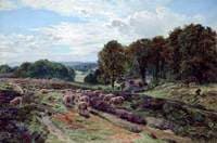 Albury Heath, Surrey