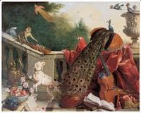 Animals, Flowers and Fruits