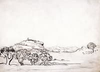 Lex Baux