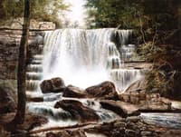 Webster's Falls