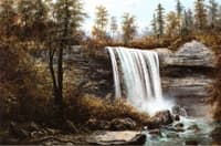 Webster's Falls