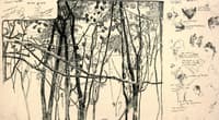 Trees, Animal Studies