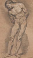 Male Academie