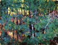 Forest Interior