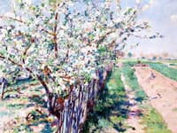 Fruit Trees in Bloom, Grez