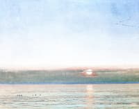 Sunset in Fog