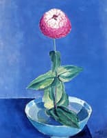 Flower in a Bowl