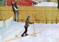 The Skier