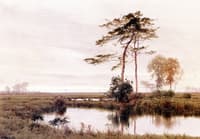 A Reflecting Pond