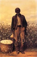 The Old Cotton Picker