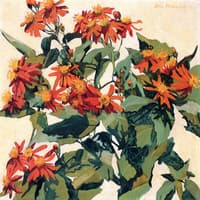 Mexican Flame