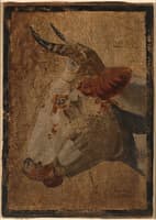 Head of an Ox