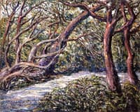Path in the Forest