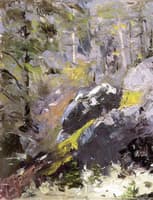 The Grey Woods