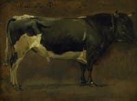 Study of a Bull (Sortbroget Tyr)