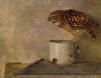 Little Owl on a Mug