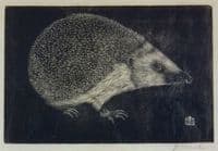 The Hedgehog