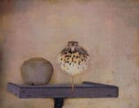 Bird on a Tray